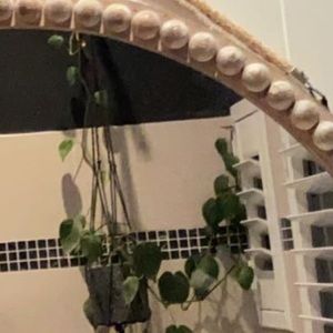 Meet your Posher, Paighton